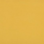 2205 Saulėgrąžų geltona
